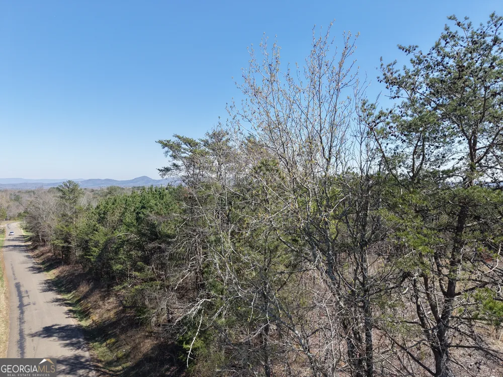 0 Young LOOP Fairmount, GA 30139