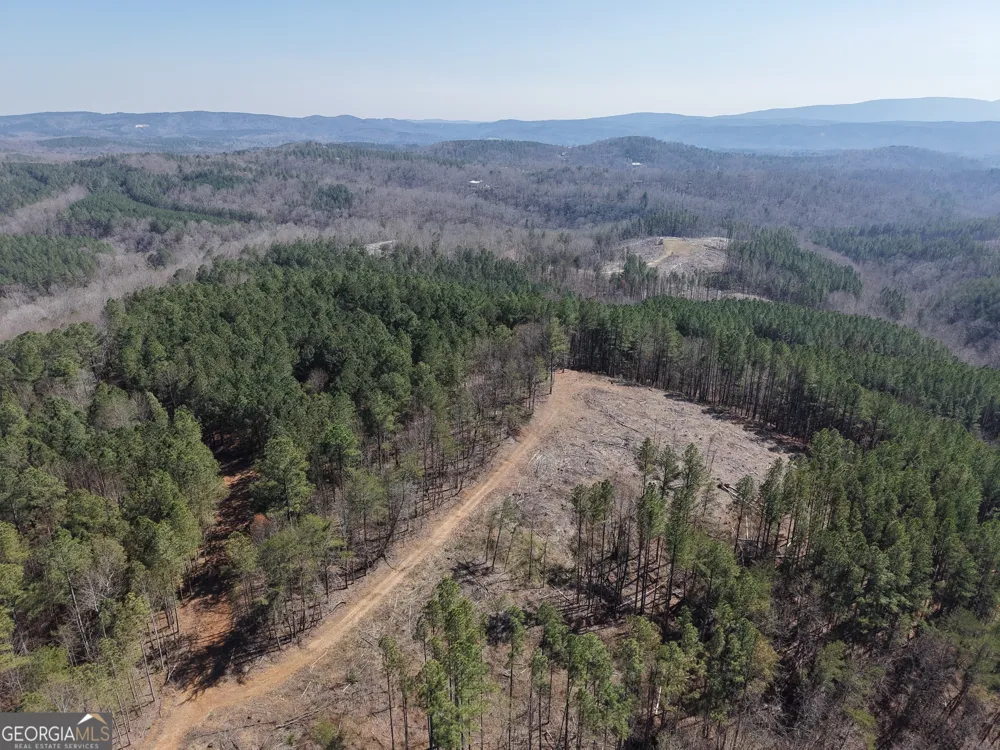 0 Young LOOP Fairmount, GA 30139