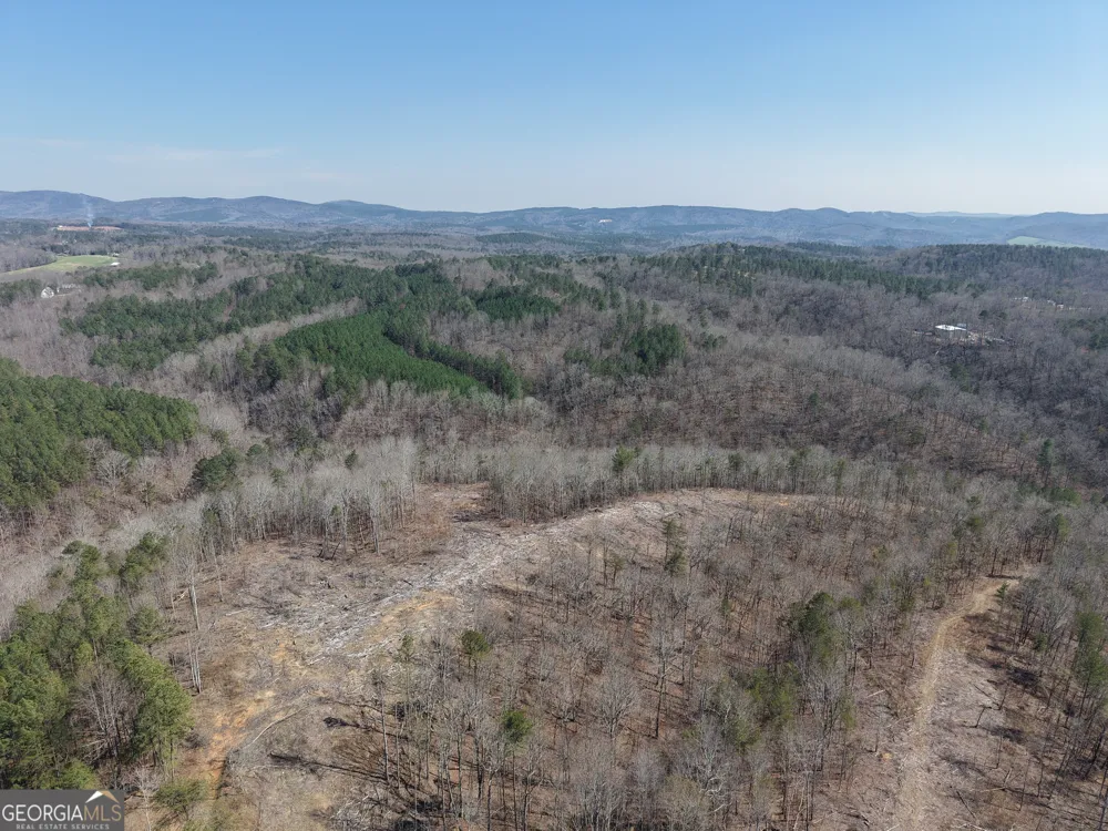 0 Young LOOP Fairmount, GA 30139