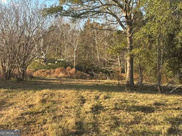 8893 Sunbury RD Claxton, GA 30417