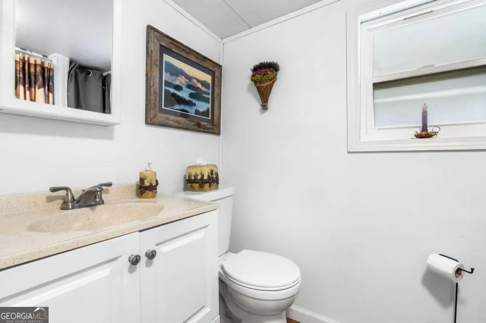 4117 Riverbank RUN Hiawassee, GA 30546