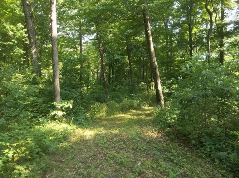 1 VL Crooked Creek Rd.