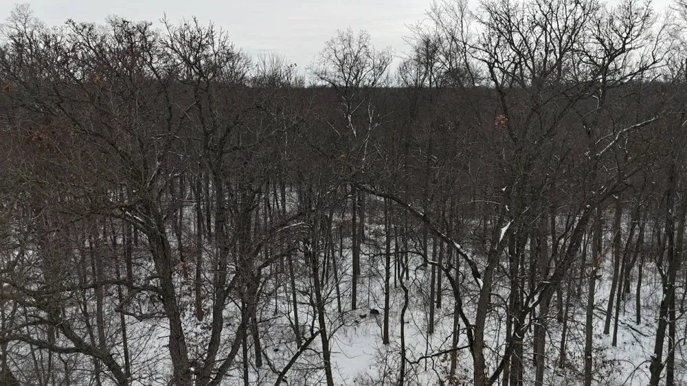 1 VL Crooked Creek Rd. White Pigeon, MI 49099