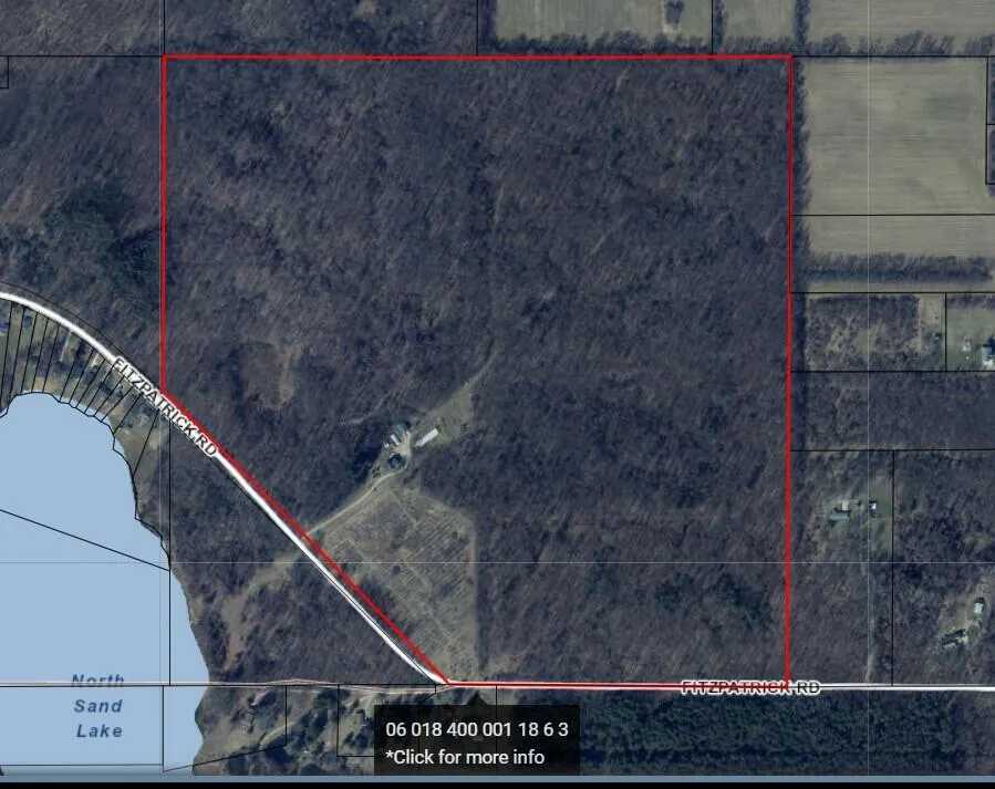 4680 Fitzpatrick Road Fayette Township, MI 49242