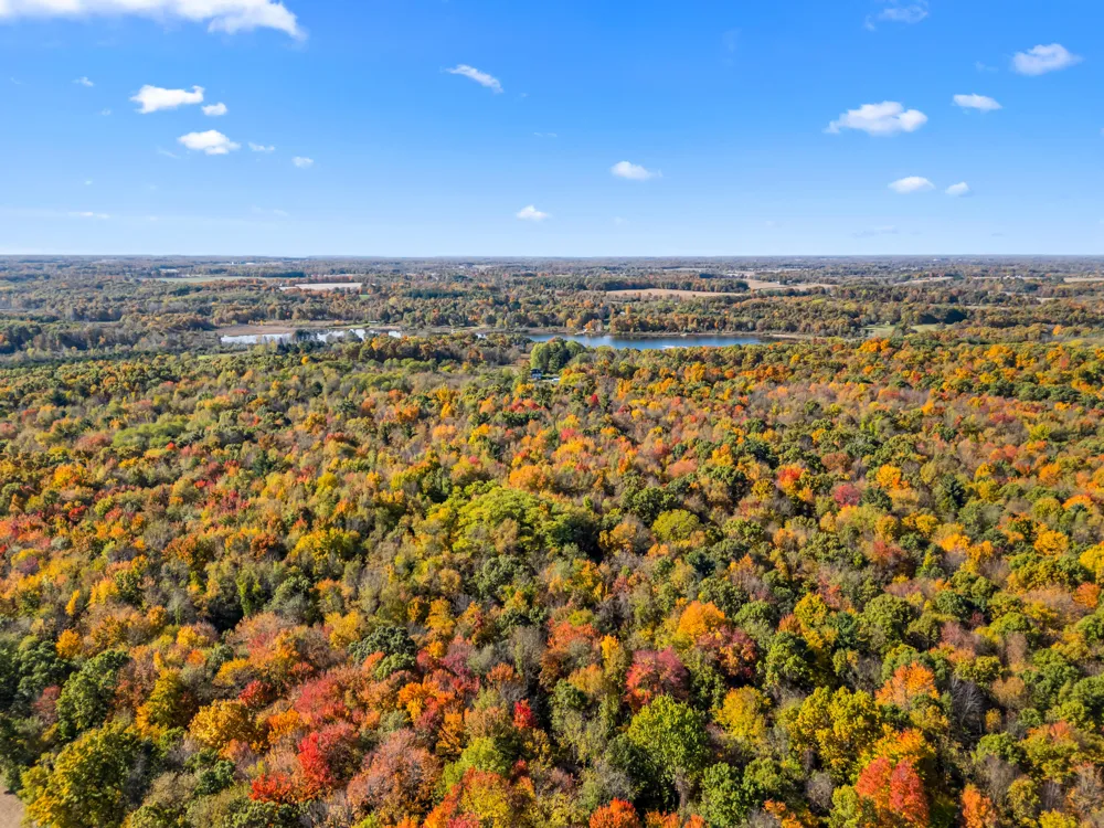 4680 Fitzpatrick Road Fayette Township, MI 49242
