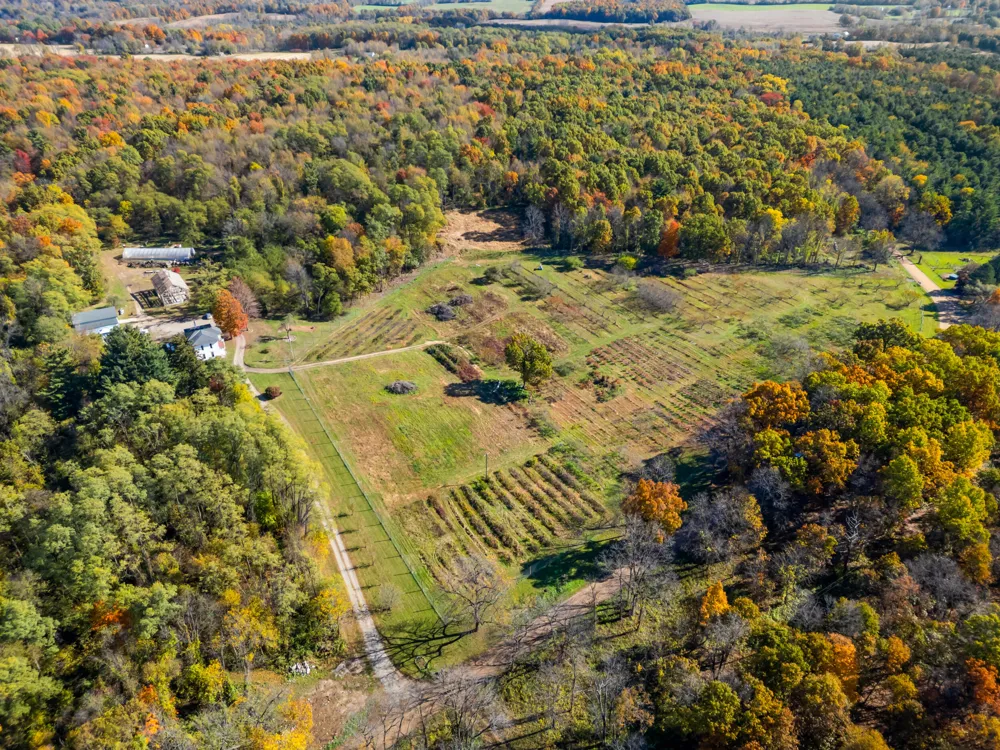 4680 Fitzpatrick Road Fayette Township, MI 49242