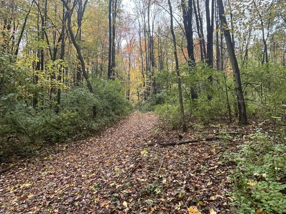 4680 Fitzpatrick Road Fayette Township, MI 49242
