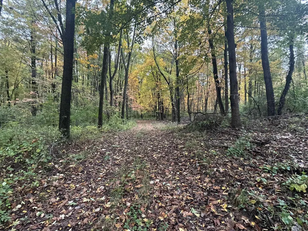 4680 Fitzpatrick Road Fayette Township, MI 49242
