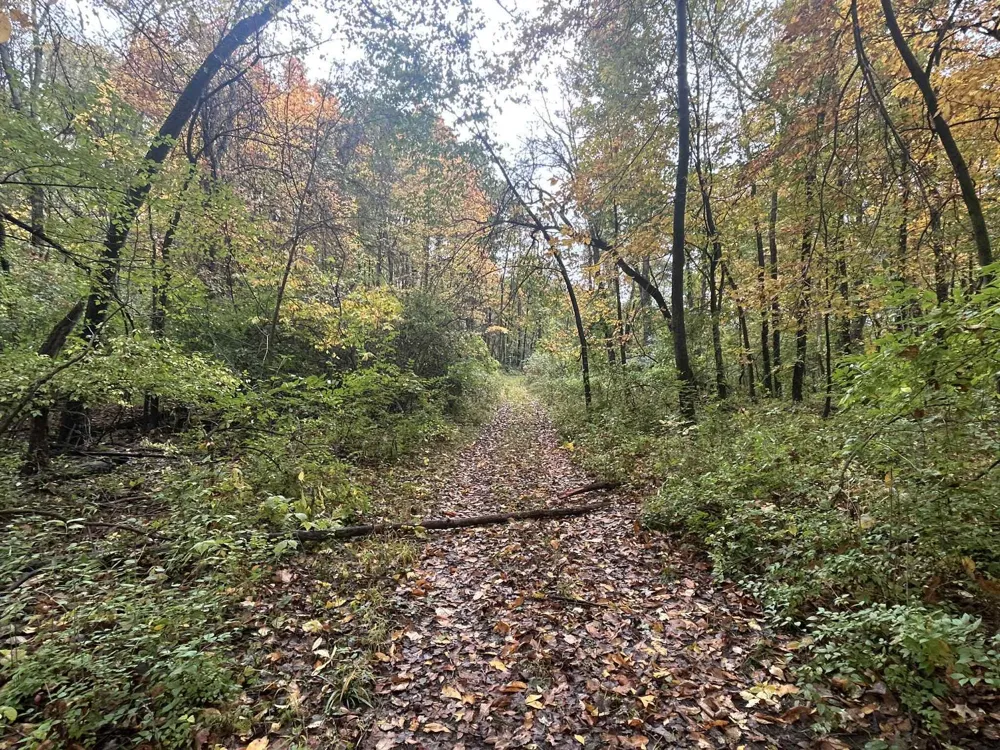 4680 Fitzpatrick Road Fayette Township, MI 49242