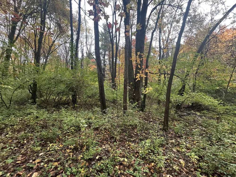4680 Fitzpatrick Road Fayette Township, MI 49242