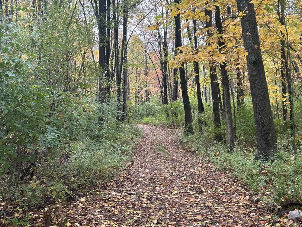 4680 Fitzpatrick Road Fayette Township, MI 49242