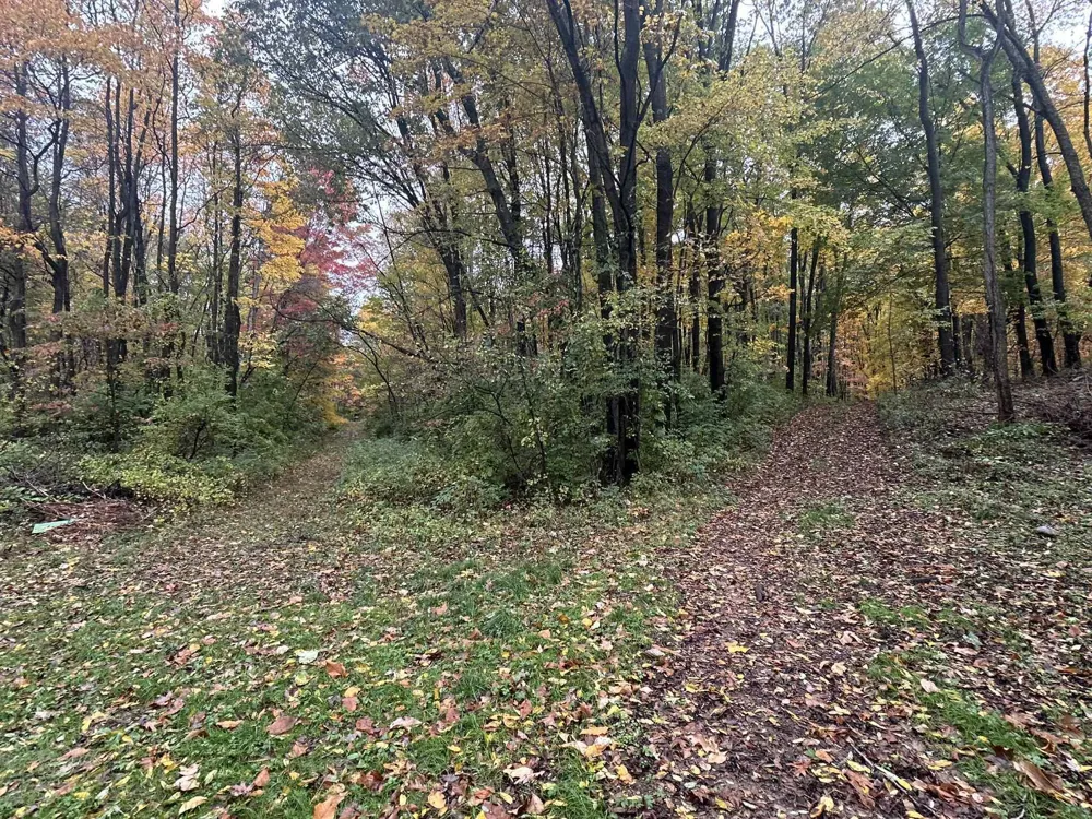 4680 Fitzpatrick Road Fayette Township, MI 49242