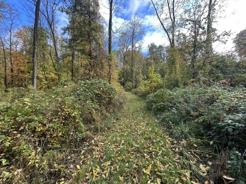 4680 Fitzpatrick Road Fayette Township, MI 49242