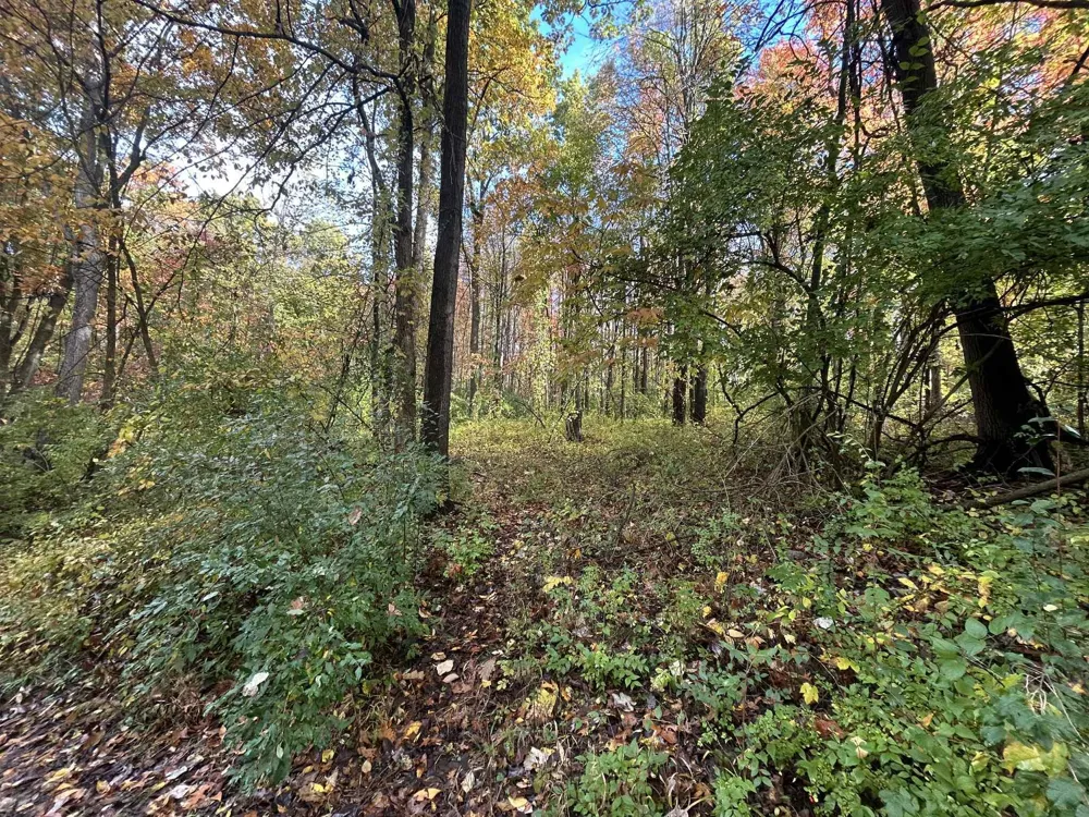 4680 Fitzpatrick Road Fayette Township, MI 49242