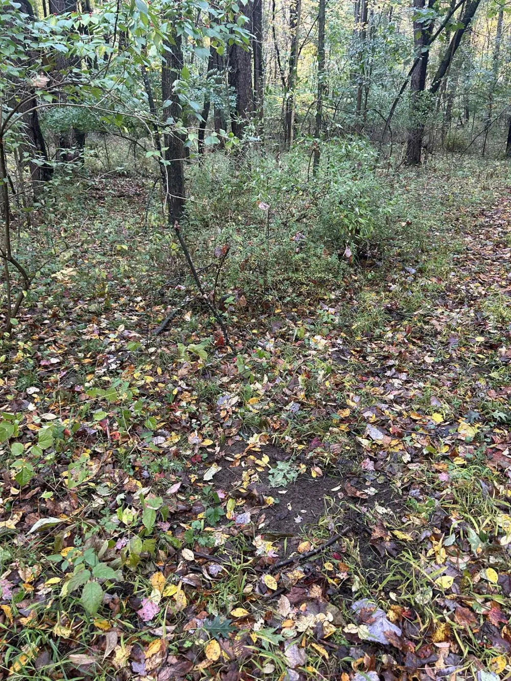 4680 Fitzpatrick Road Fayette Township, MI 49242