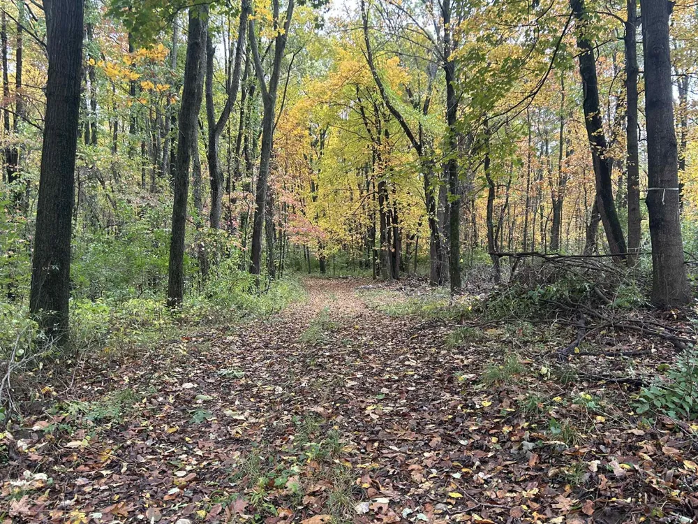 4680 Fitzpatrick Road Fayette Township, MI 49242