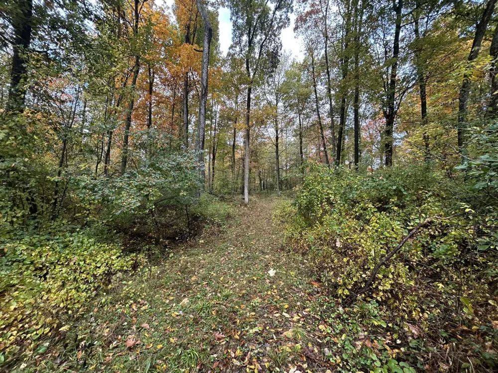 4680 Fitzpatrick Road Fayette Township, MI 49242