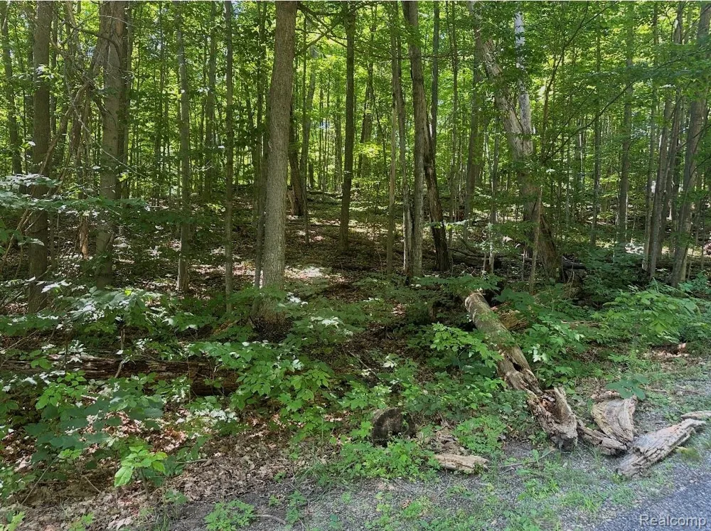 185 ForestGrove Road Mancelona Township, MI 49730