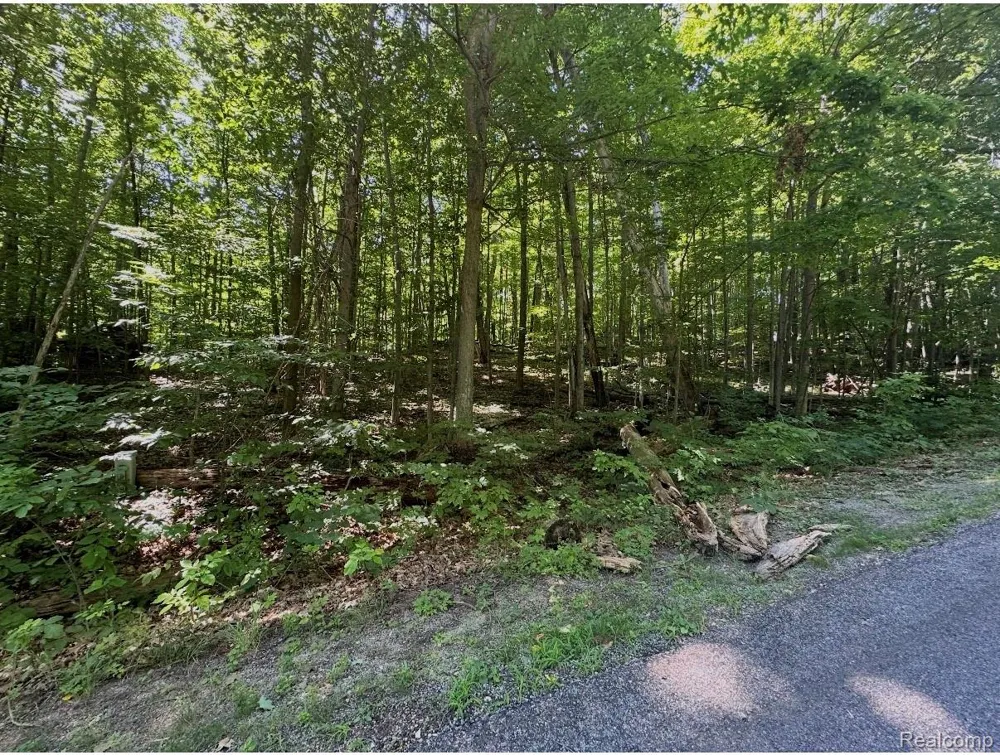185 ForestGrove Road Mancelona Township, MI 49730
