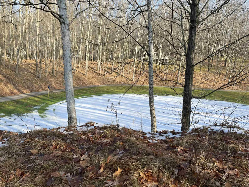 9357 W Circle Drive Morton Township, MI 49346
