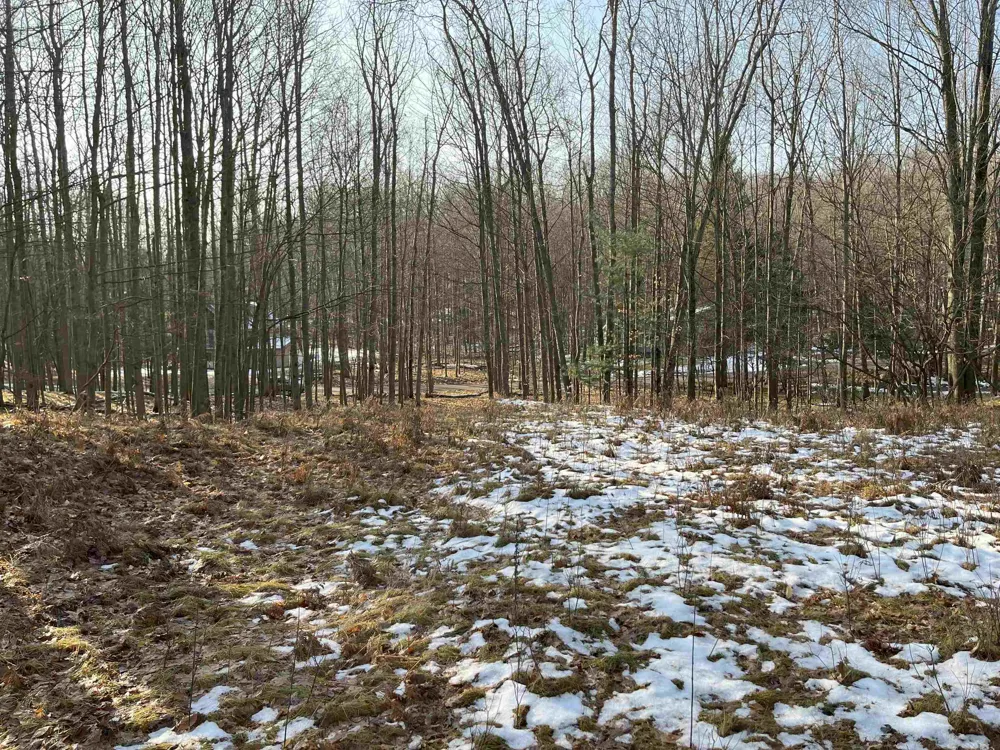 9357 W Circle Drive Morton Township, MI 49346
