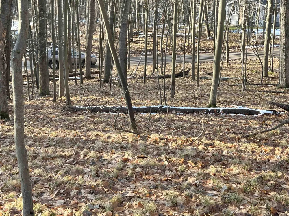 9357 W Circle Drive Morton Township, MI 49346