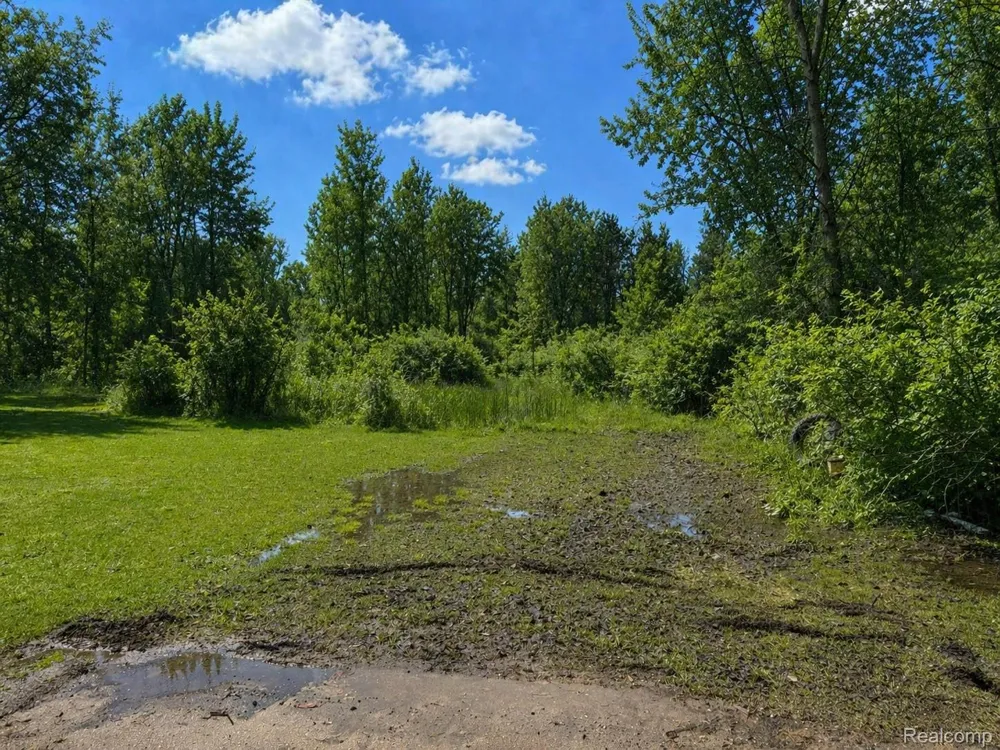 1223 Lexa Lane Mundy Township, MI 48507