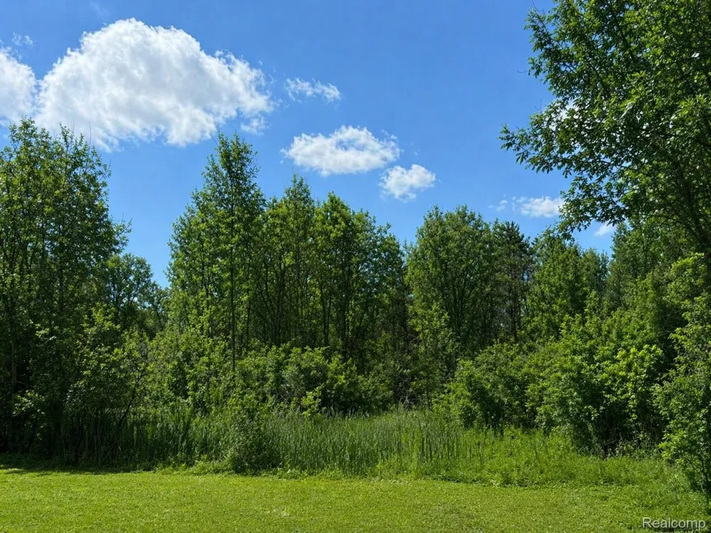 1223 Lexa Lane Mundy Township, MI 48507