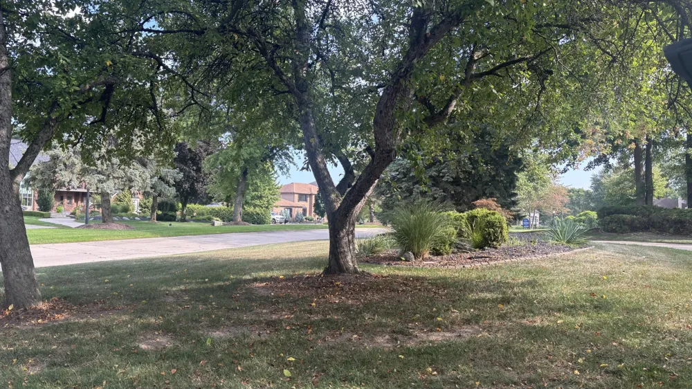 37671 Fiore Trail Clinton Charter Township, MI 48036