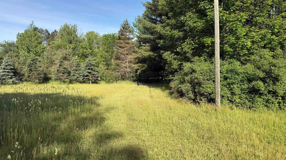 Rushton Road Banks Township, MI 49729