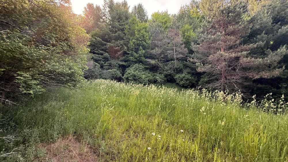 Rushton Road Banks Township, MI 49729