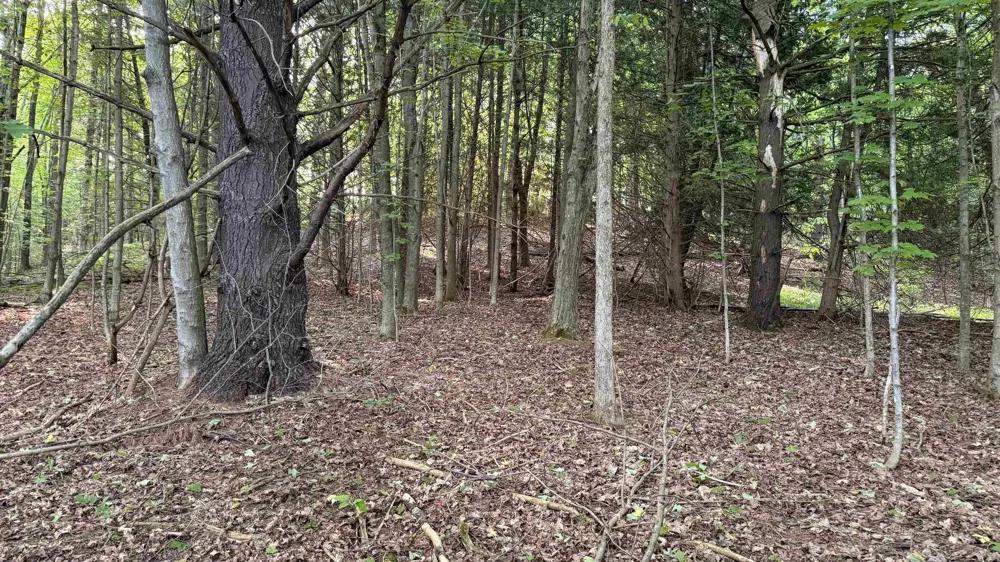 Rushton Road Banks Township, MI 49729