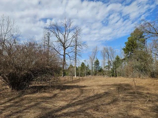 23 Cinnamon Lane East Bay Township, MI 49696