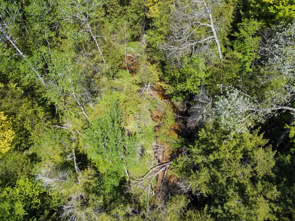 2155 Belanger Creek Drive Suttons Bay Township, MI 49682