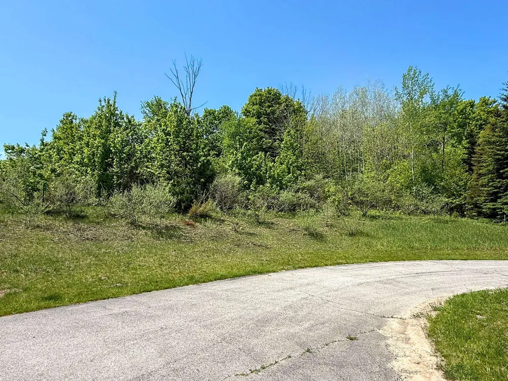2155 Belanger Creek Drive Suttons Bay Township, MI 49682