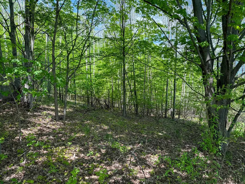 2155 Belanger Creek Drive Suttons Bay Township, MI 49682