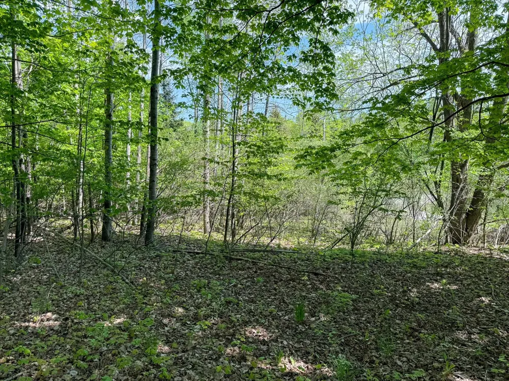 2155 Belanger Creek Drive Suttons Bay Township, MI 49682