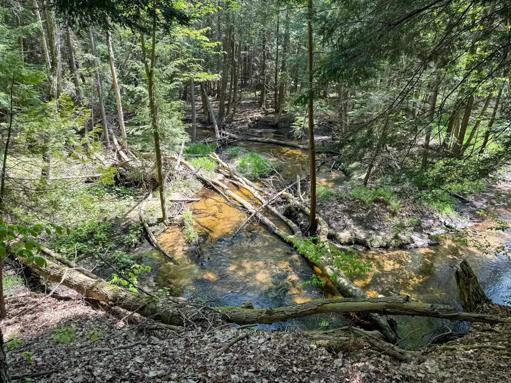 2155 Belanger Creek Drive Suttons Bay Township, MI 49682