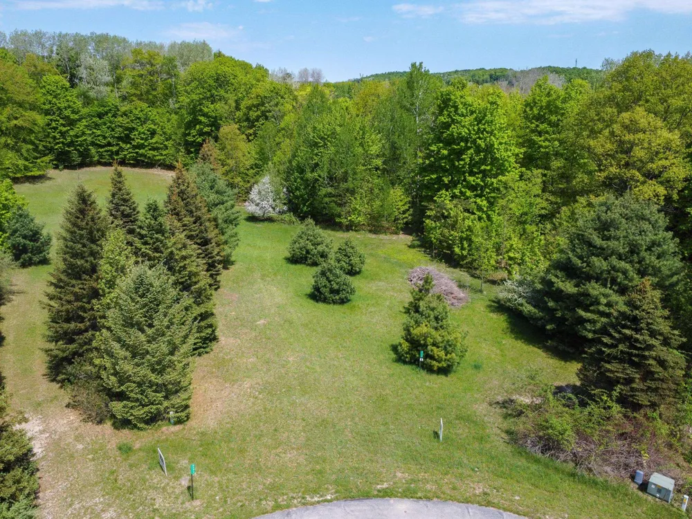 2164 Belanger Creek Drive Suttons Bay Township, MI 49682