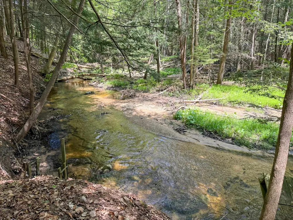 2164 Belanger Creek Drive Suttons Bay Township, MI 49682
