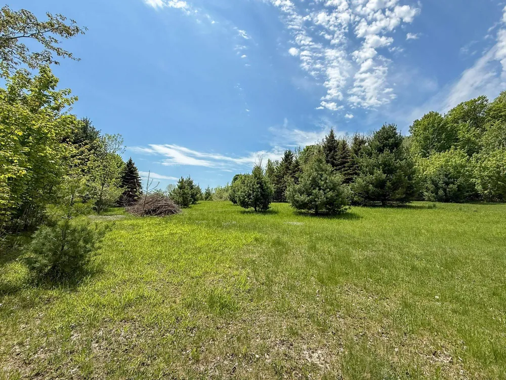 2164 Belanger Creek Drive Suttons Bay Township, MI 49682