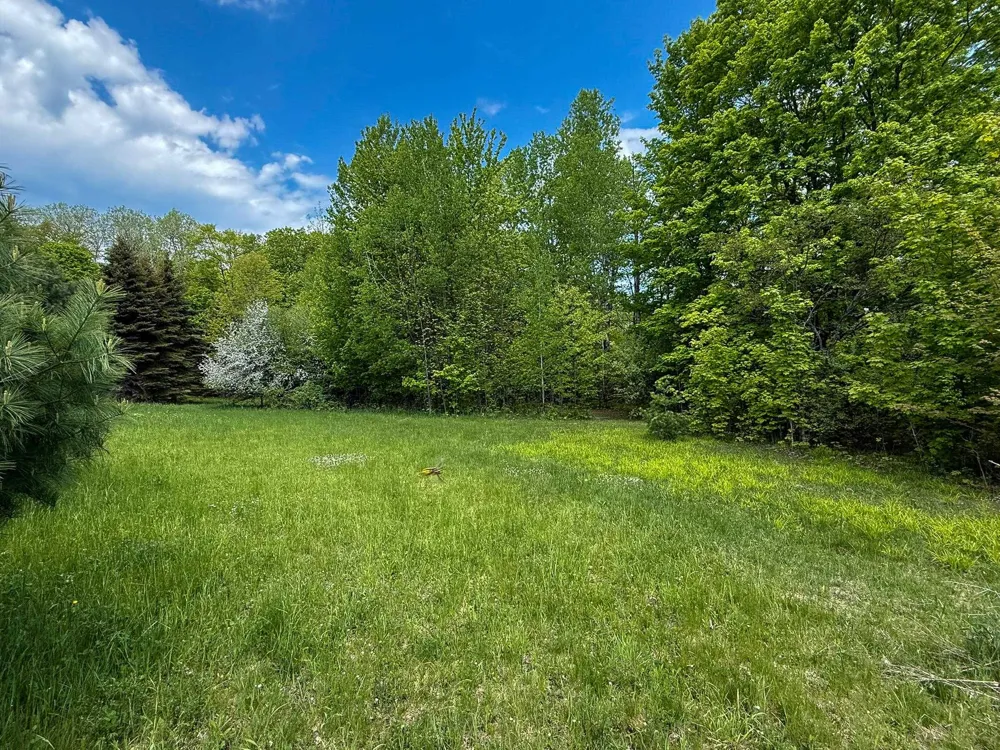 2164 Belanger Creek Drive Suttons Bay Township, MI 49682