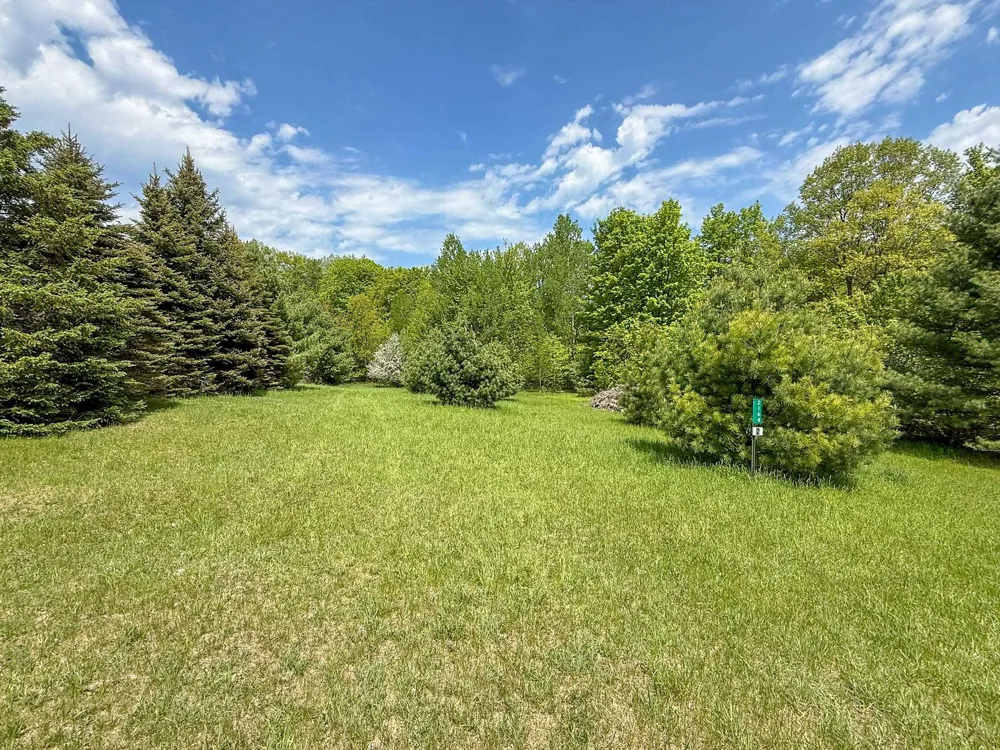 2164 Belanger Creek Drive Suttons Bay Township, MI 49682
