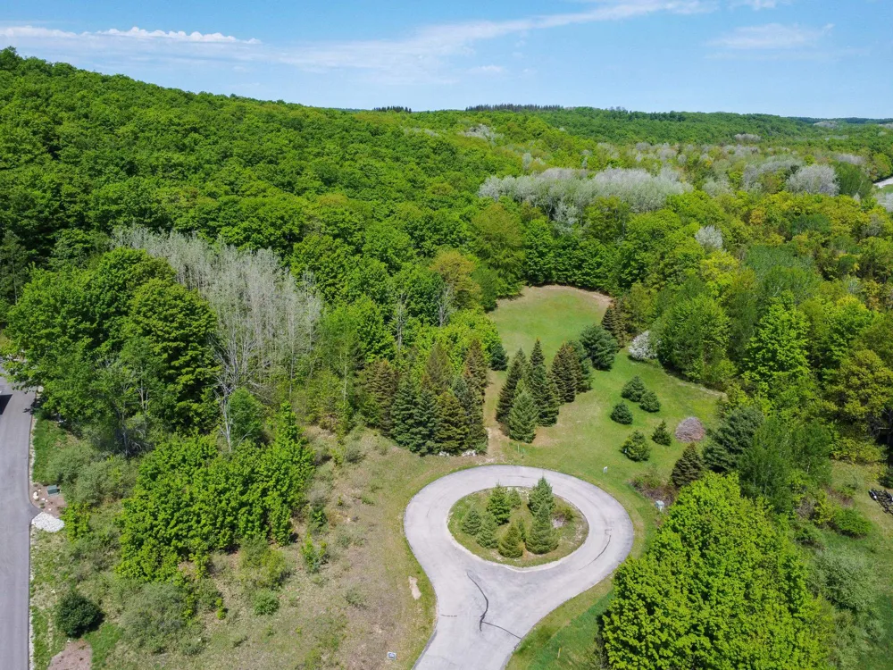 2164 Belanger Creek Drive Suttons Bay Township, MI 49682