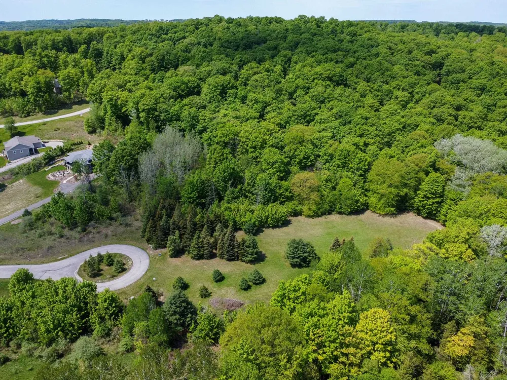 2164 Belanger Creek Drive Suttons Bay Township, MI 49682