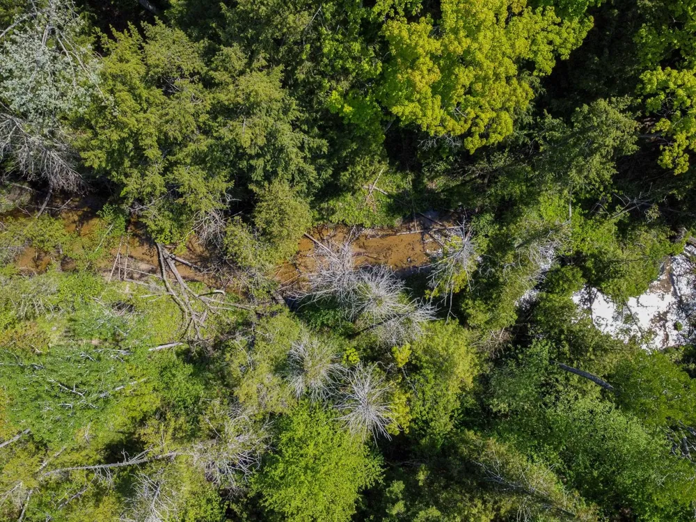 2164 Belanger Creek Drive Suttons Bay Township, MI 49682