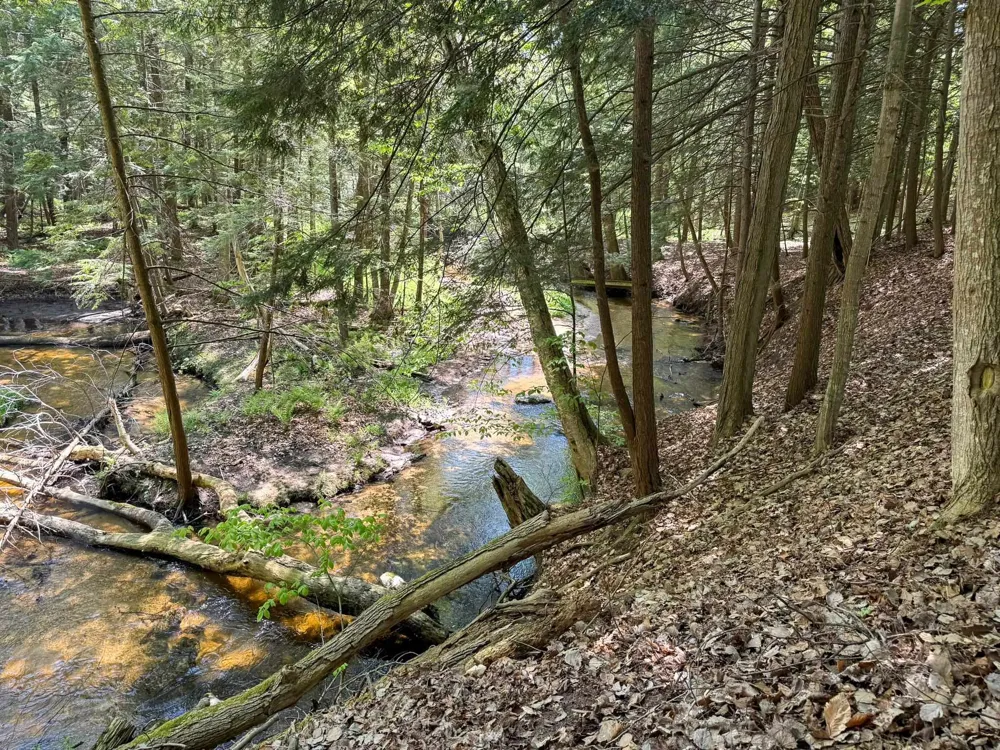 2164 Belanger Creek Drive Suttons Bay Township, MI 49682