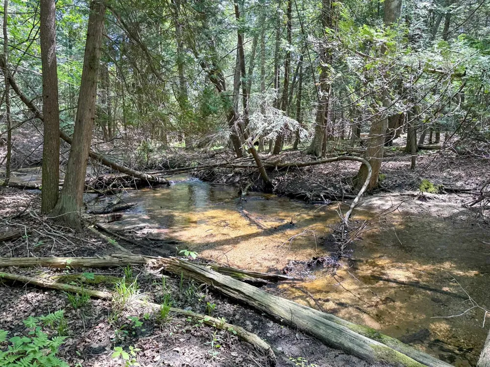 2164 Belanger Creek Drive Suttons Bay Township, MI 49682