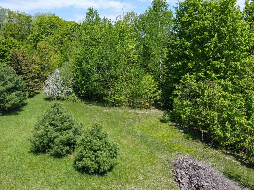 2164 Belanger Creek Drive Suttons Bay Township, MI 49682