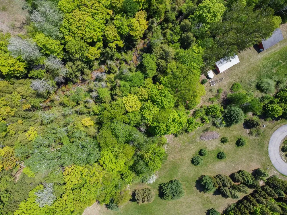 2164 Belanger Creek Drive Suttons Bay Township, MI 49682